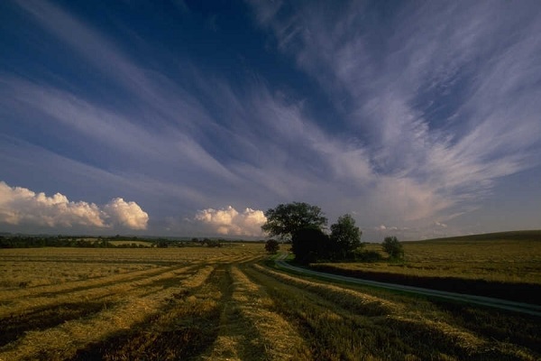 calcolo Imu terreni agricoli incolti